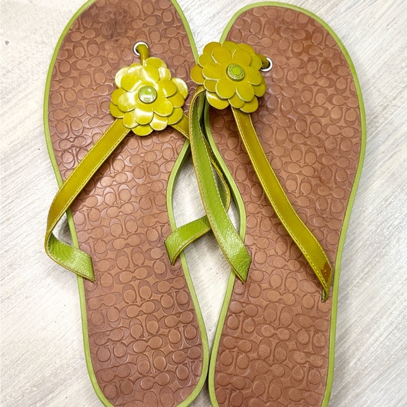 Coach Lime Green Daisy Sandals - Picture 1 of 4